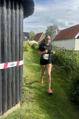Foto Zijdewinder City Cross 2026